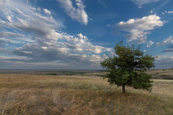 � ����� ��� �����