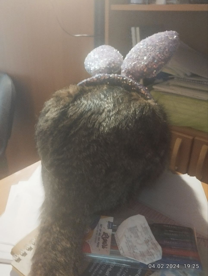 ����� �� ���� ���������� �� �� ������ ������� ���� ����. ���� � �� ��. ������� � ������ ����. �������� ���!�