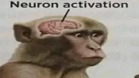 A selection for the monkey brain - Survey, Humor, Short videos, Anime, Hoyoverse, Genshin impact, Honkai: Star Rail, Zenless Zone Zero, Music, Edit, Dancing, A selection, Animation, Neural connections, Video, Longpost, Vertical video