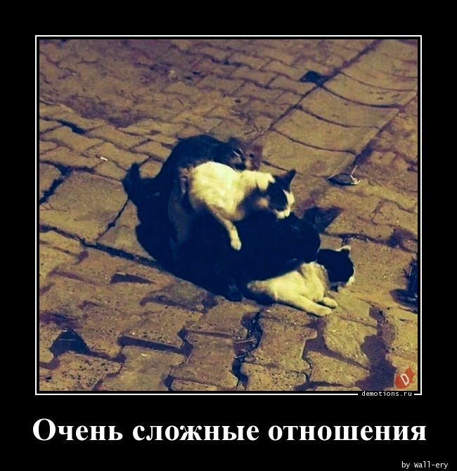 �������� ���������� ���������� � ��������� �� ����������� �������. ������������� �88