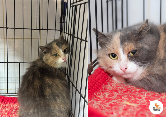 ����� �����, 3 ����, ������� �� �����.