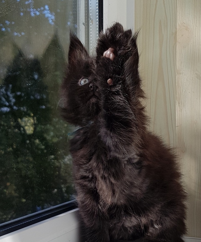 ������ ���� ����� ����