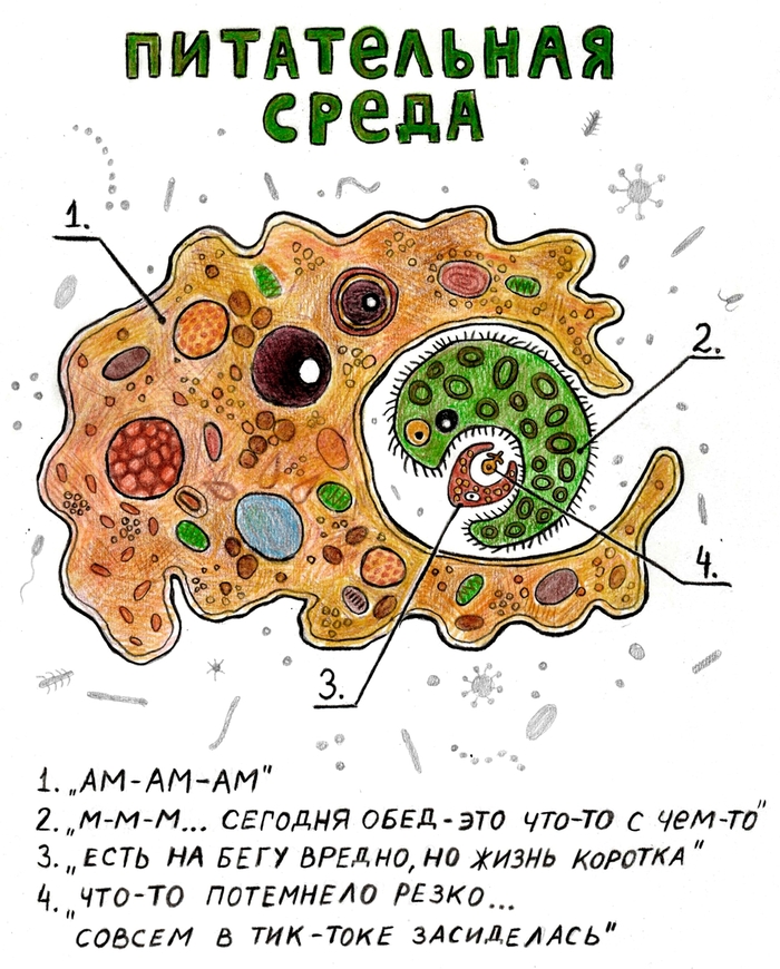 ����� ����������