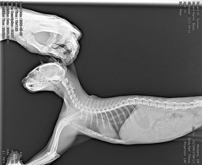 ����� �� ���� ���������� �� �� ������ ������� ���� ����. ���� � �� ��. ������� � ������ ����. �������� ���!�