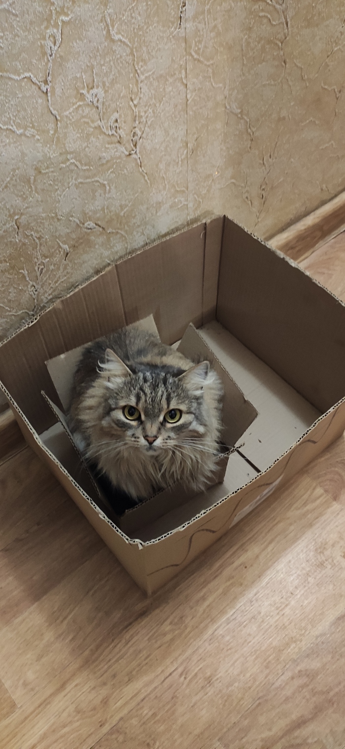 ������ ���� ���� ����� � ���� ����