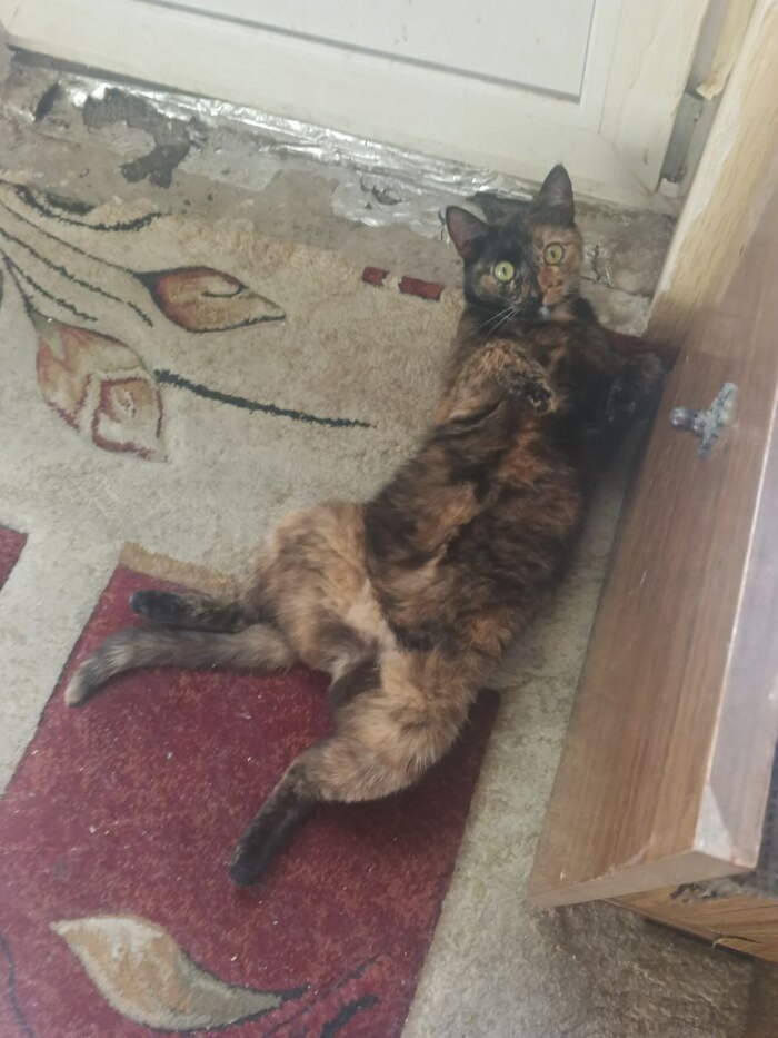 � ����� ���������� �������� - ������ �� �����!