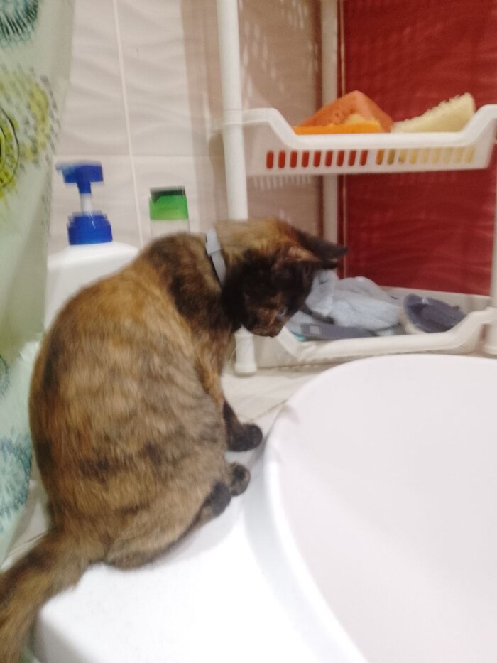 ��� �������� ���� ������. ����� ��� ��� �� ������������ �����������.