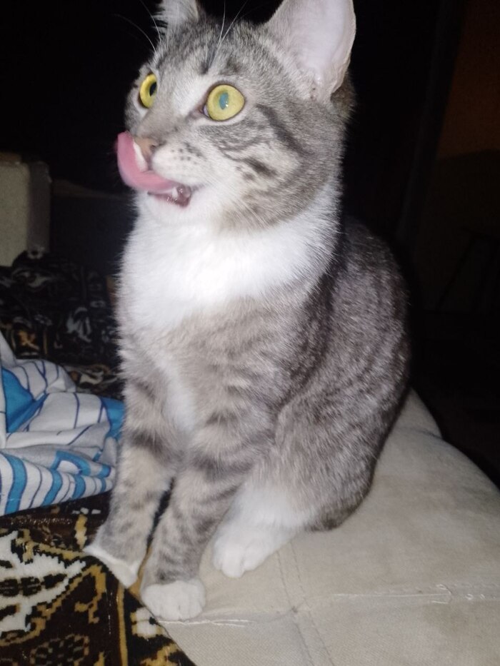 � �� ������� �����, ����� ���!