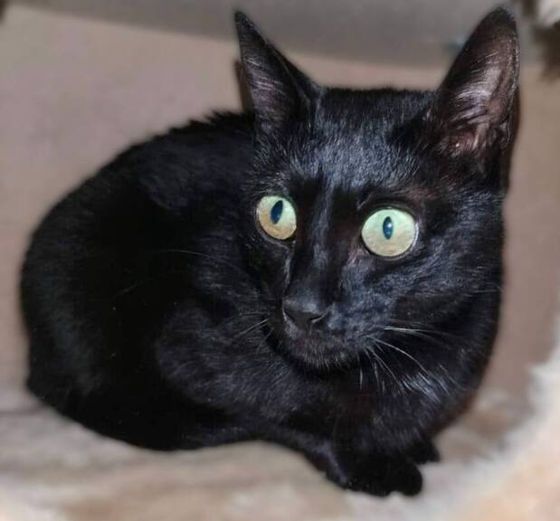 ����������� ������� �������� ������� � ����!