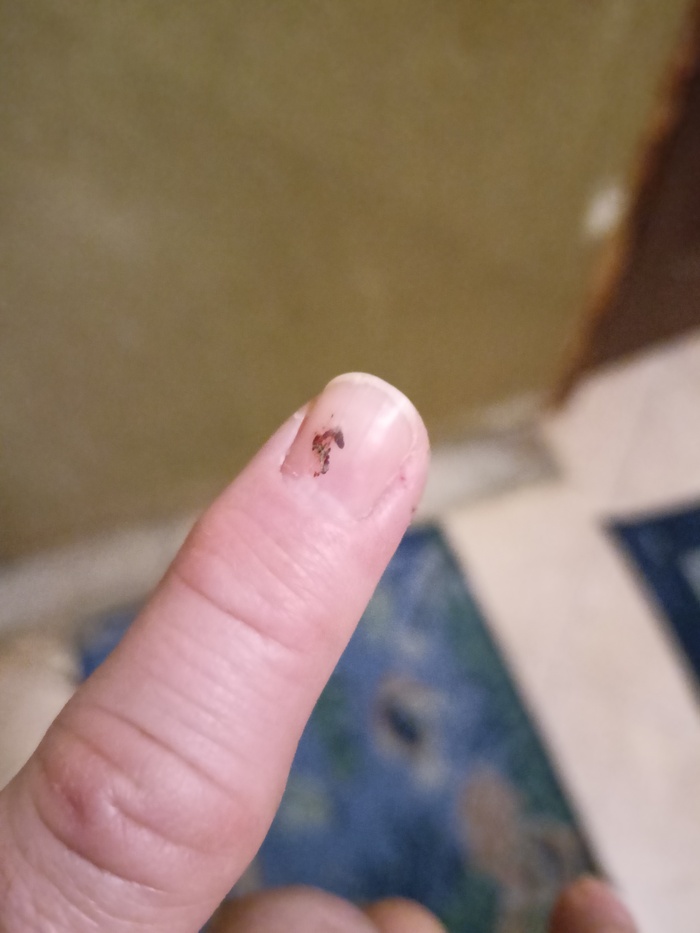 ������� �����?