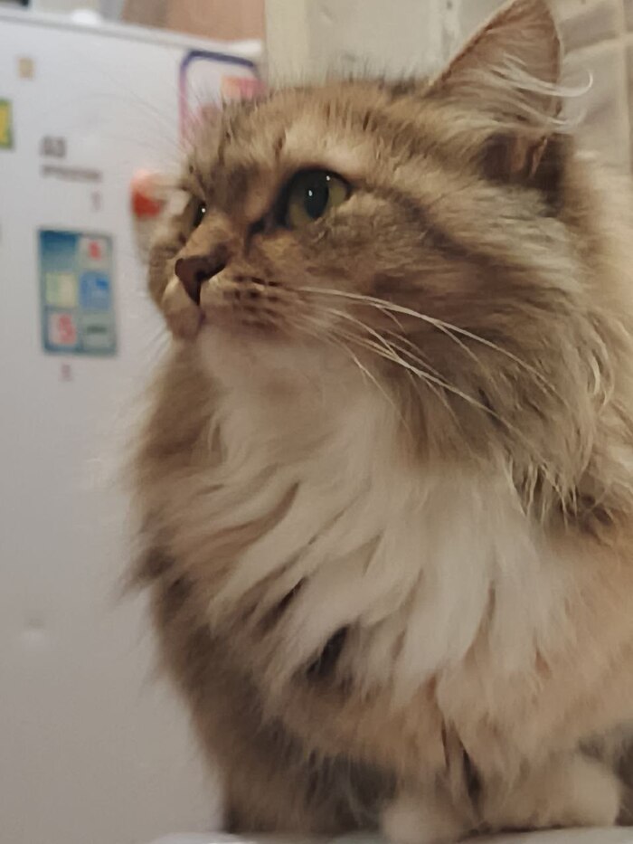 ����, ����� ��� "�������" ������..