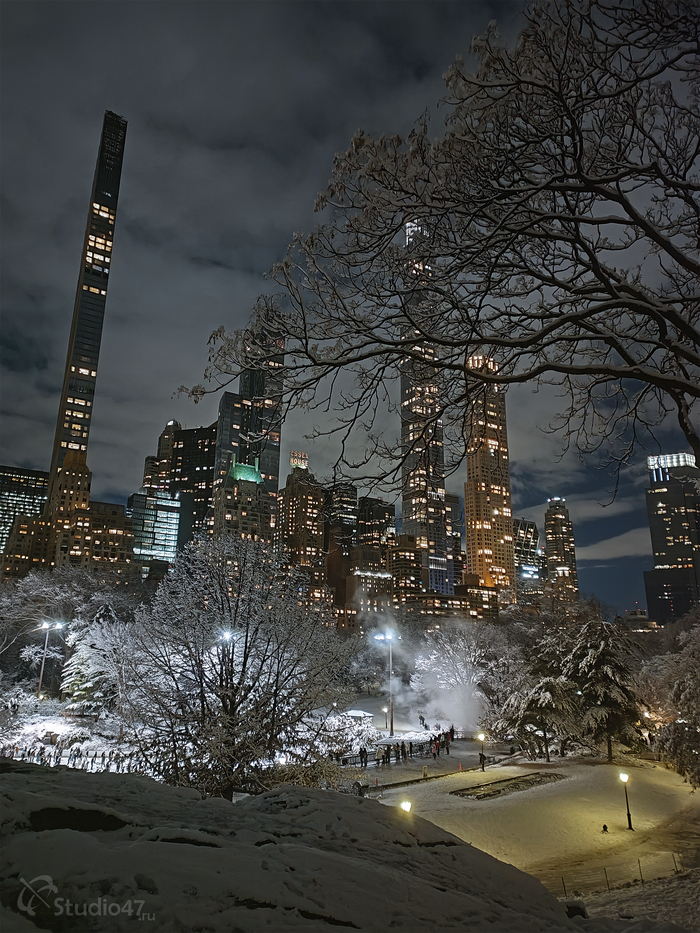 Central Park / New York