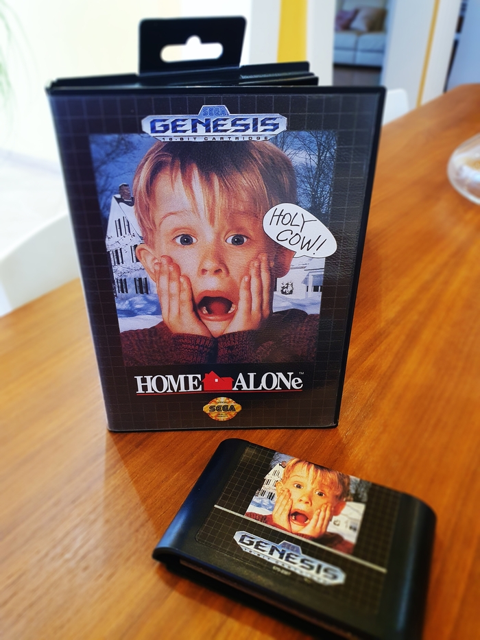 Home Alone Sega ��������