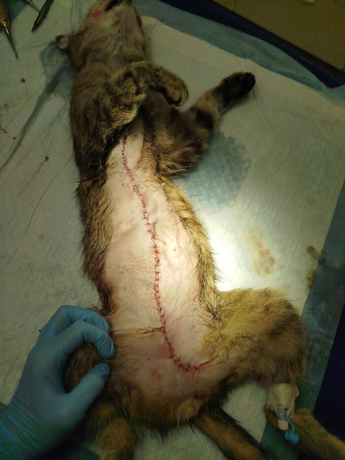 ��� ����� ����������, ����� �� ������� ��������� ������.