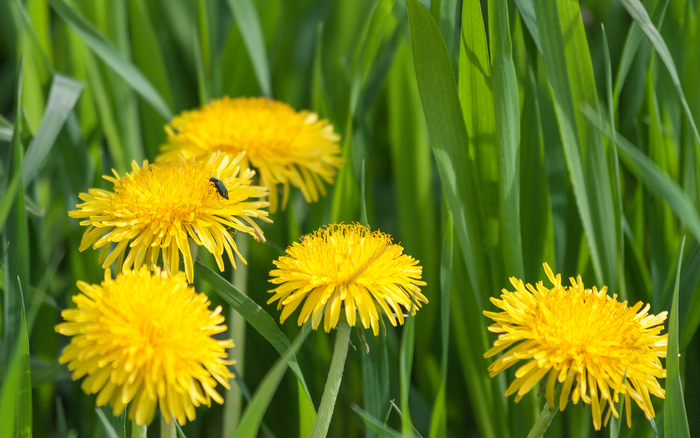 ����� �� ���� ���������� ����������