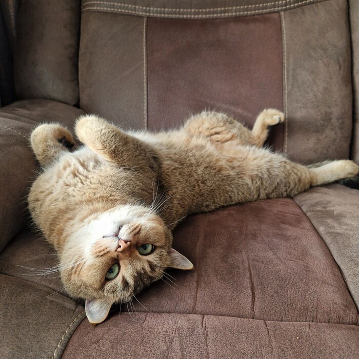 ����� �������� ����� ������ ��