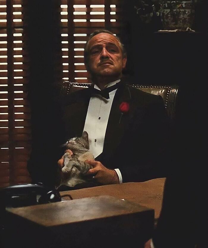 ���� �� ������ "�������� ����"