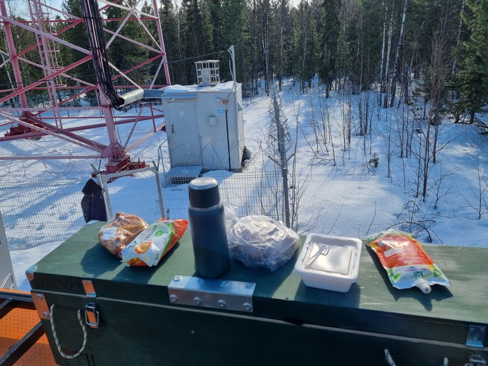 3� ���� � ������������ ��� �������� ��� �����������. ����