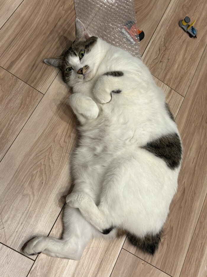 <!--noindex--><a href="https://pikabu.ru/story/lovushka_dlya_zloy_ruki_13537081?u=https%3A%2F%2Fx.com%2Fi%2Fstatus%2F2003850293050823097&t=https%3A%2F%2Fx.com%2Fi%2Fstatus%2F2003850293050823097&h=d264a7e30d31a19161d204f66e616f783ed420e0" title="https://x.com/i/status/2003850293050823097" target="_blank" rel="nofollow noopener">https://x.com/i/status/2003850293050823097</a><!--/noindex-->