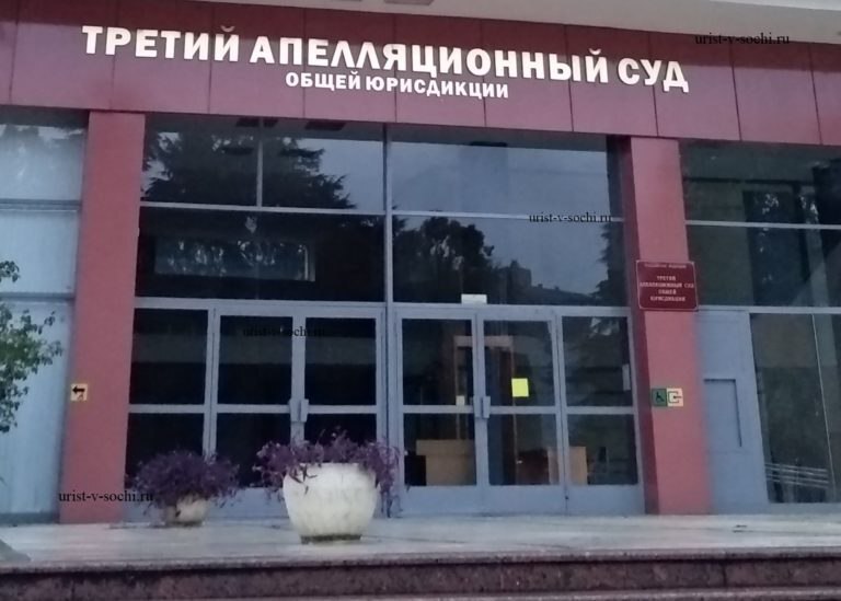 Dog lawyer Svetlana Zibert lost her case in court. - Stray dogs, Court, Astrakhan, Legislation, Good news, Politics, Appeal, Animal defenders, VKontakte (link), Longpost