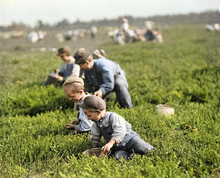 �����: ����� ���� ����