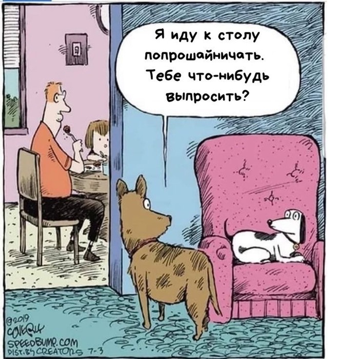 ���� ��� ������?