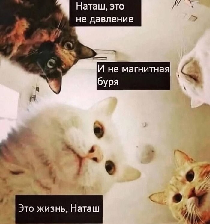 2025 ��� ����� ������ �� ��������� ����� �� ��������� ������ ���