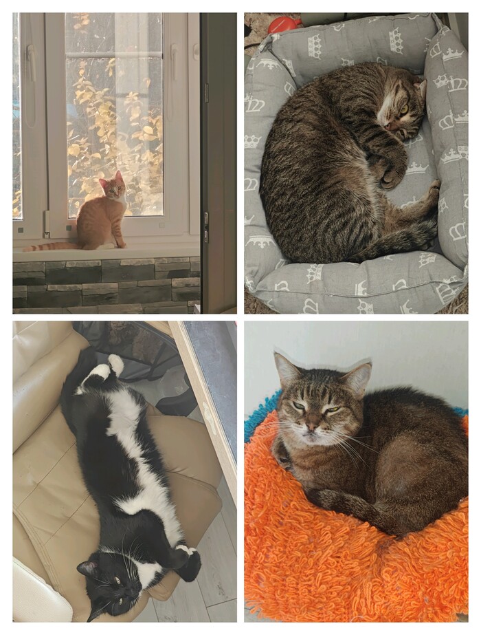 ������� �������