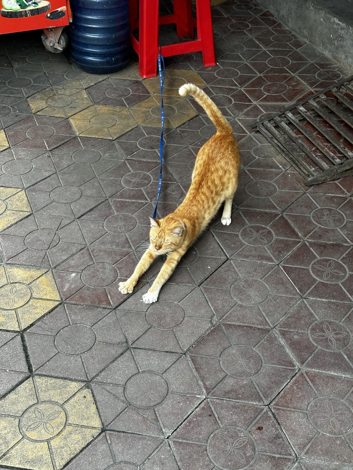 �������� �� �������, ���� �� ������ ����� �������.