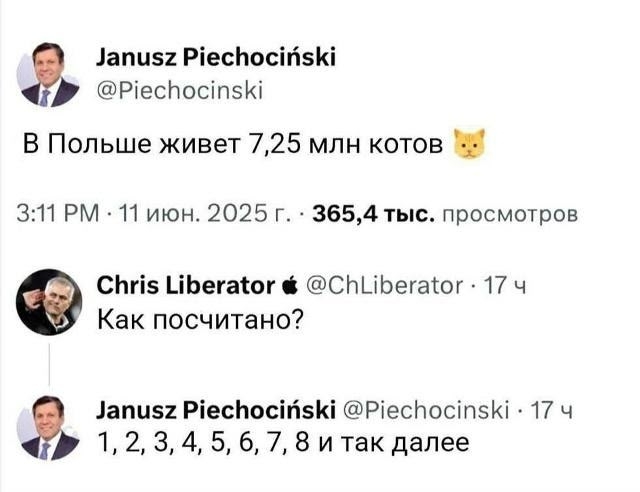 С котами в Польше всё понятно
