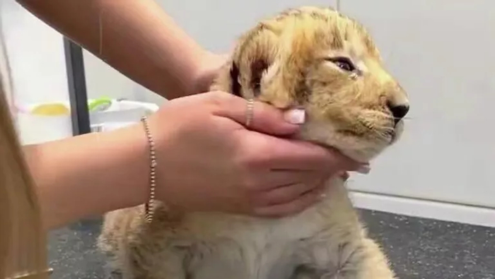 �� ����������, �������������� �������� �����, ������ �� ������ ����� ����� �������� ��� ������������ ������