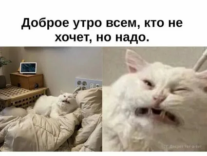 ������ ���� ���