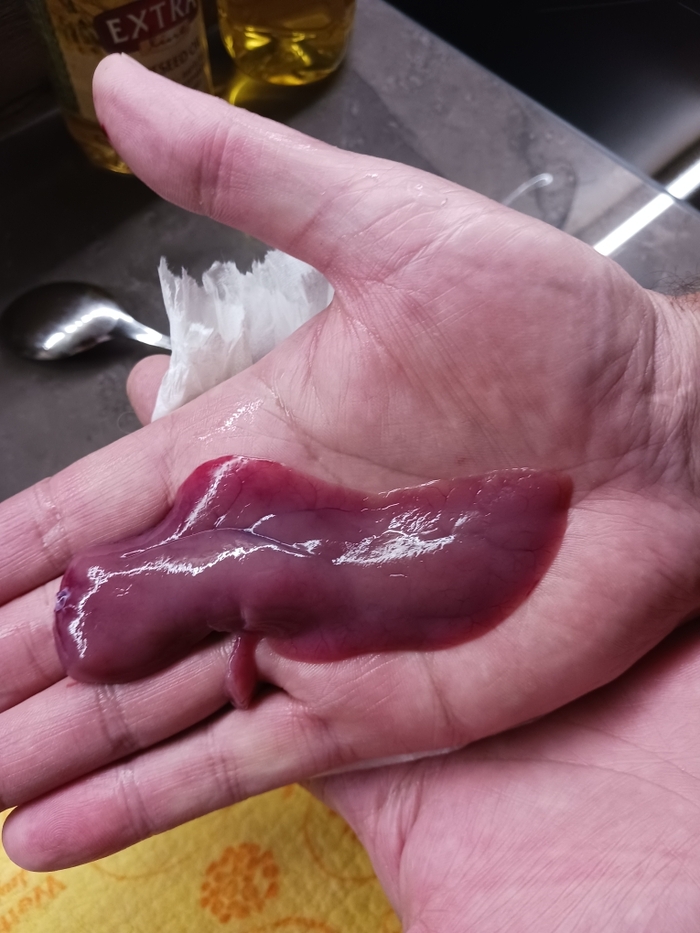 ������ ��������.