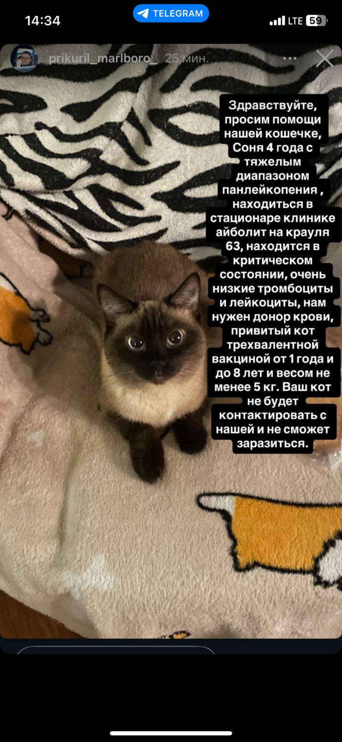 ����� ������ ����� ��� ����� ����