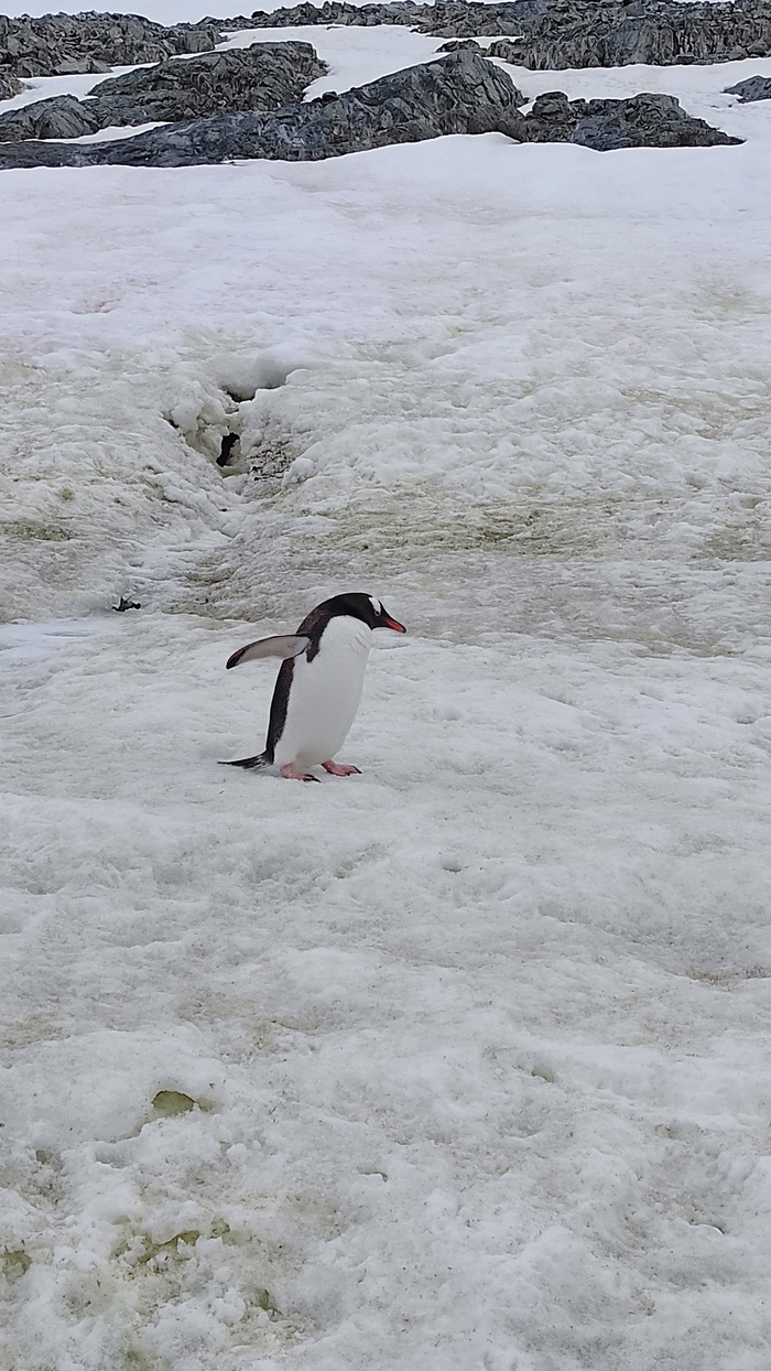 ����-�� ������