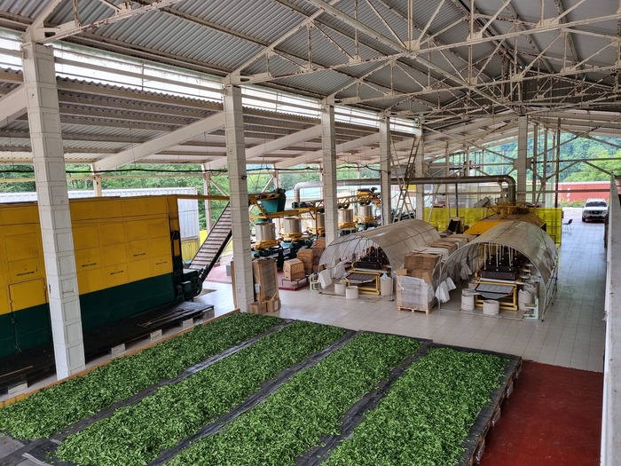 ��� ����������� ������� ����� ��� ������������� ������ �������. 2024 ���. ���� �������� �.�.