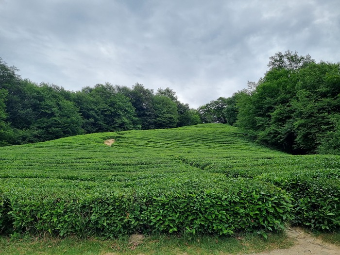 ������ ��������� ��� ������������� ������ �������. 2024 ���. ���� �������� �.�.