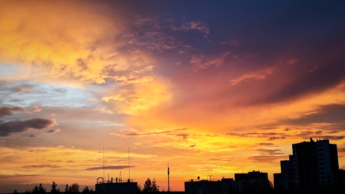 �������� ����. ������ �����