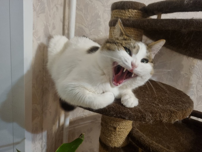 ����� ozarkboy � ���������� �� �� ������ ������� ���� ����. ���� � �� ��. ������� � ������ ����. �������� ���!�