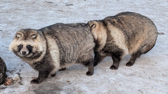 ����� ���������!