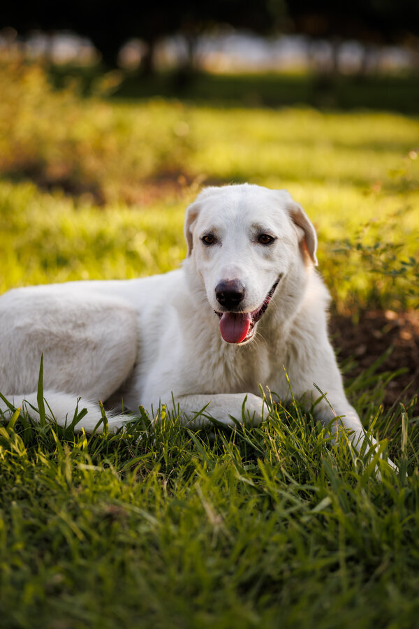 ������ � ��! �������� ��� ����� ���� �����