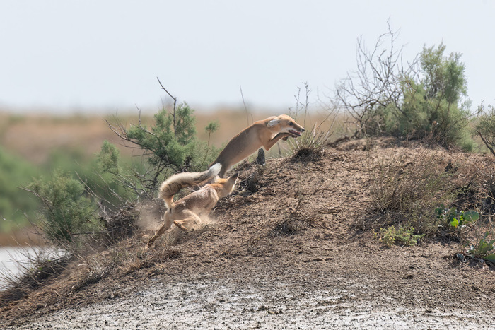 ���� � ���������