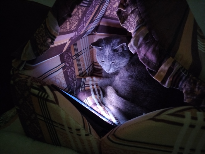 �������� �������� ���������:3