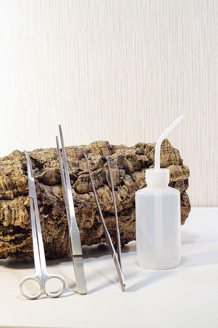 ����� ������, � ��� ������ �����: ������ �������� ���������������� ����������-����������