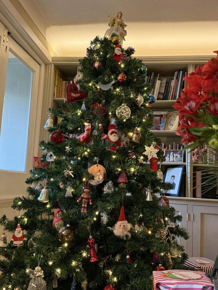 ����� ����