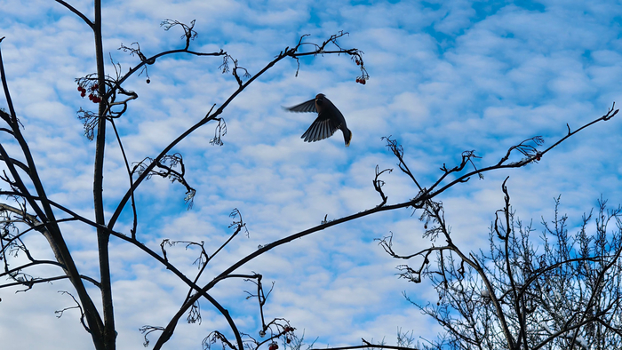 ����� 16 ������ 2025 �. � 13:09.