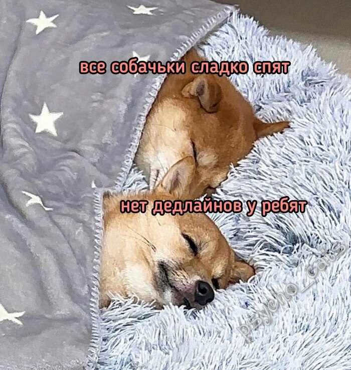 ��� ����� ������