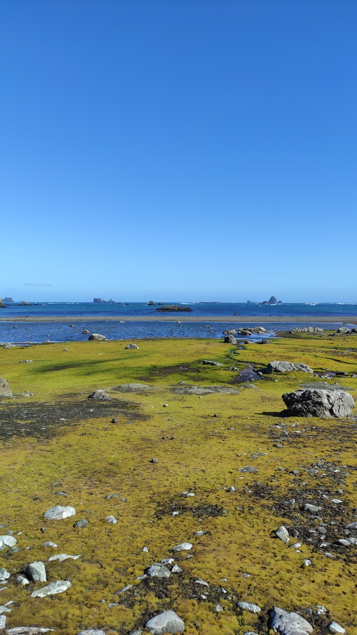 ������� ����� �� ������� ���� ������. ����!