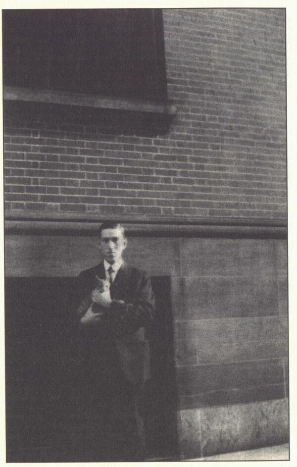 ������ ���