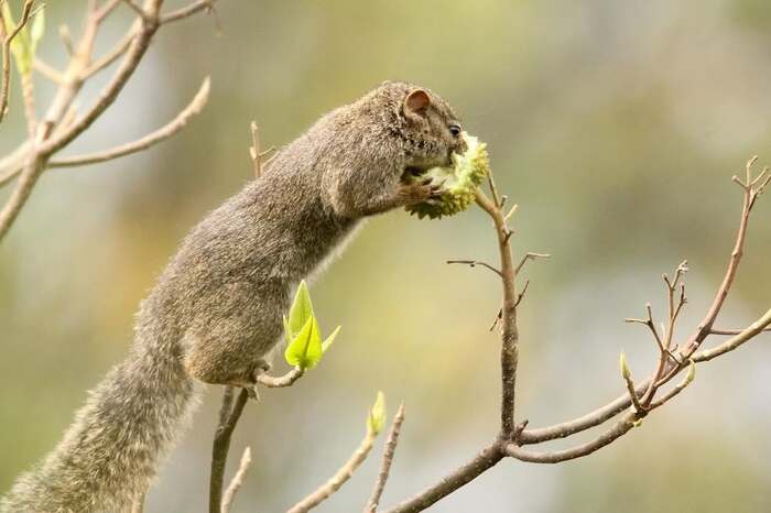 �������� �����.